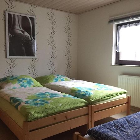 Ferienwohnung-Schmidt-2 ゲレナウ エクステリア 写真