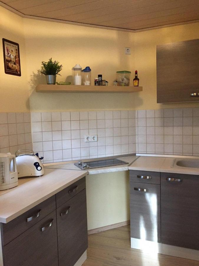 Ferienwohnung-Schmidt-2 ゲレナウ エクステリア 写真