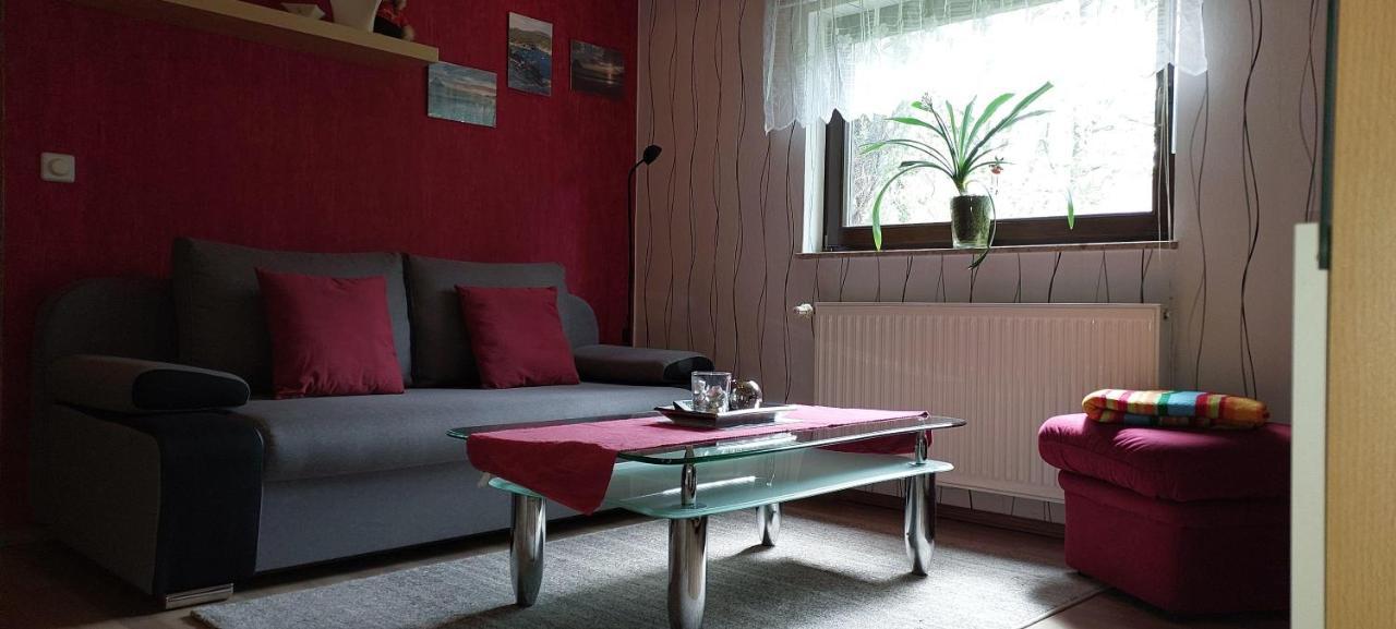 Ferienwohnung-Schmidt-2 ゲレナウ エクステリア 写真